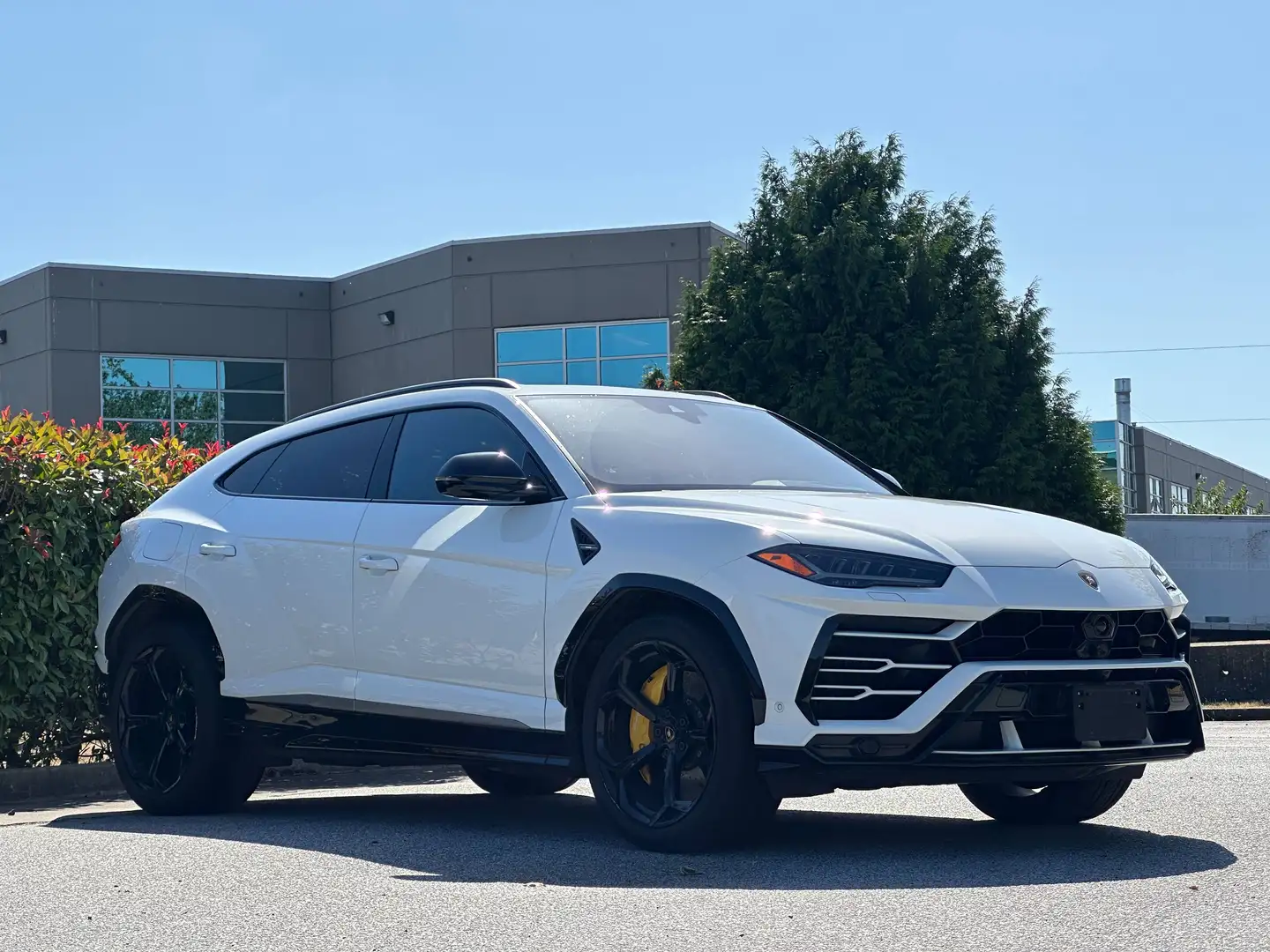 2019 Lamborghini Urus